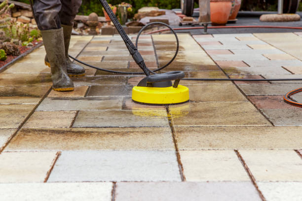 Best Animal Enclosure Cleaning  in Jim Thorpe, PA